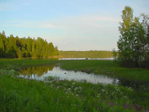 Kyyvesi Lake has a very long shore with many creeks.