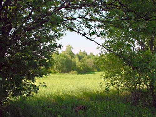 The fields around Saksala are in use for agriculture.