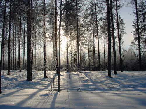 Winter light on Saksalanharju